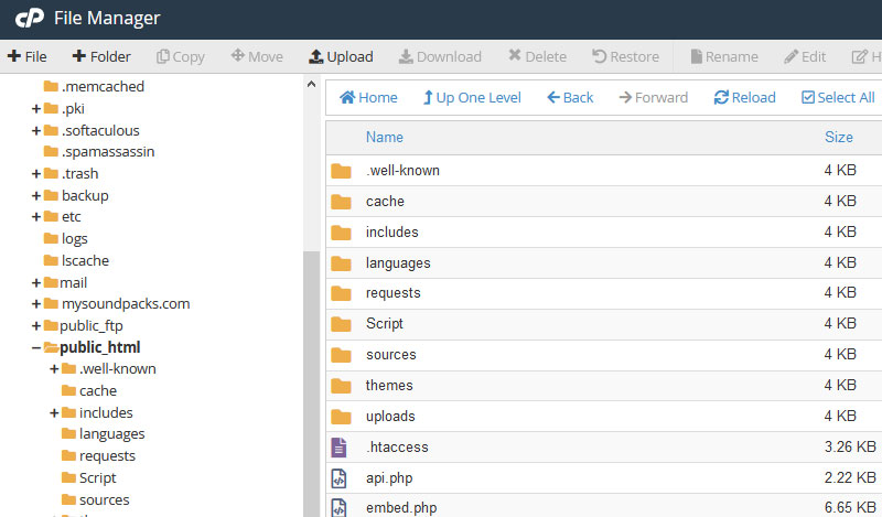 How To Create Instant Backups Using cPanel File Manager