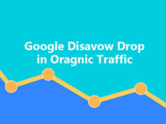 Google Disavow Drop in Oragnic Traffic